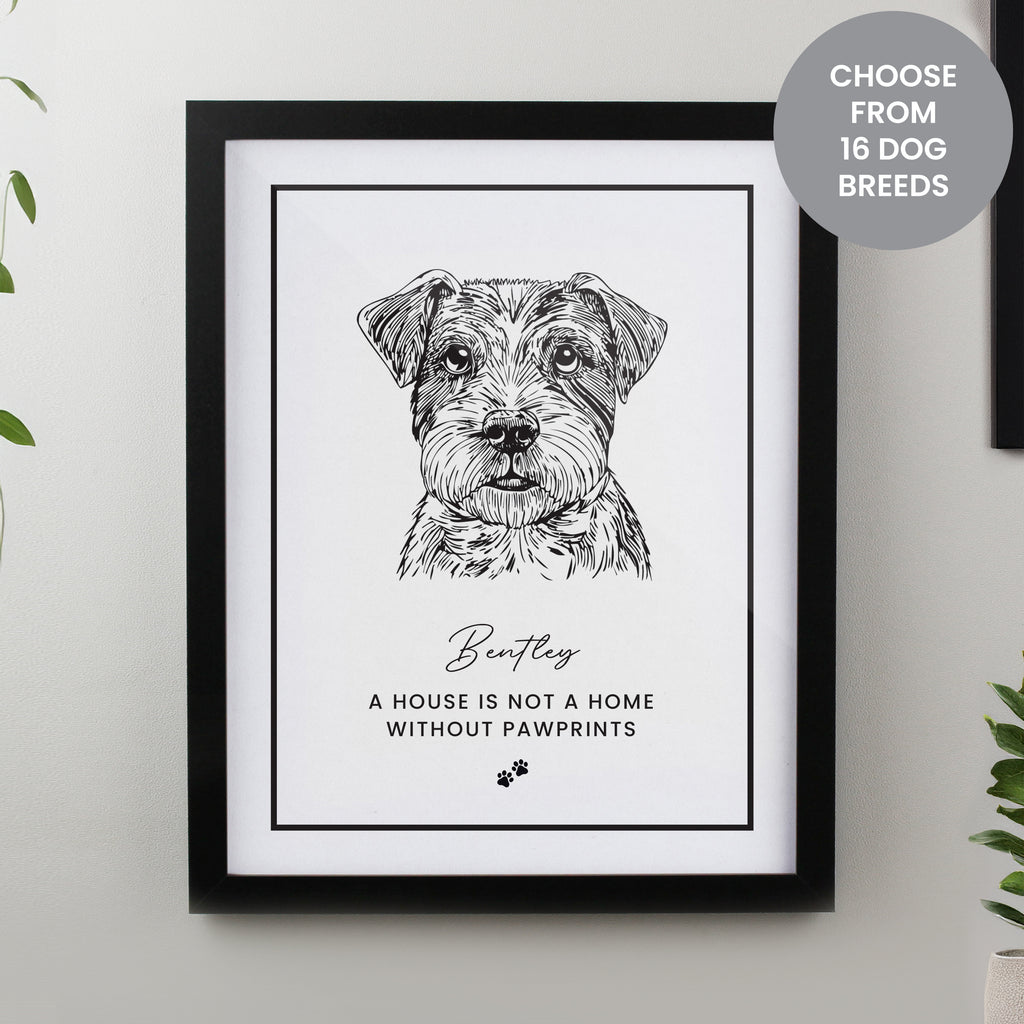 Framed Prints