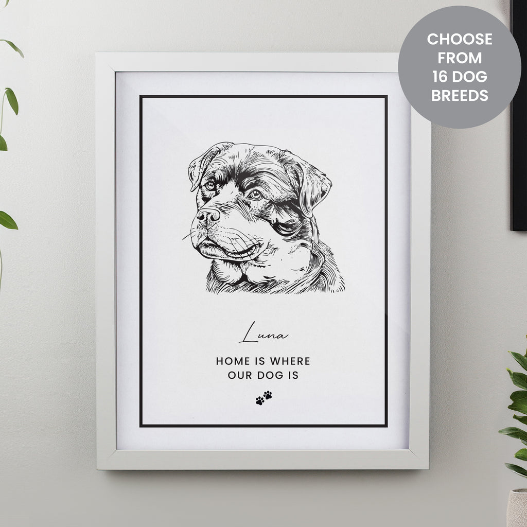 Framed Prints