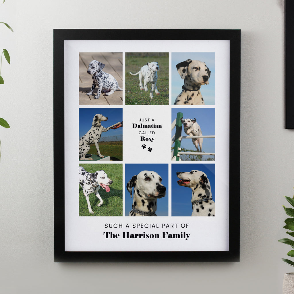 Framed Prints