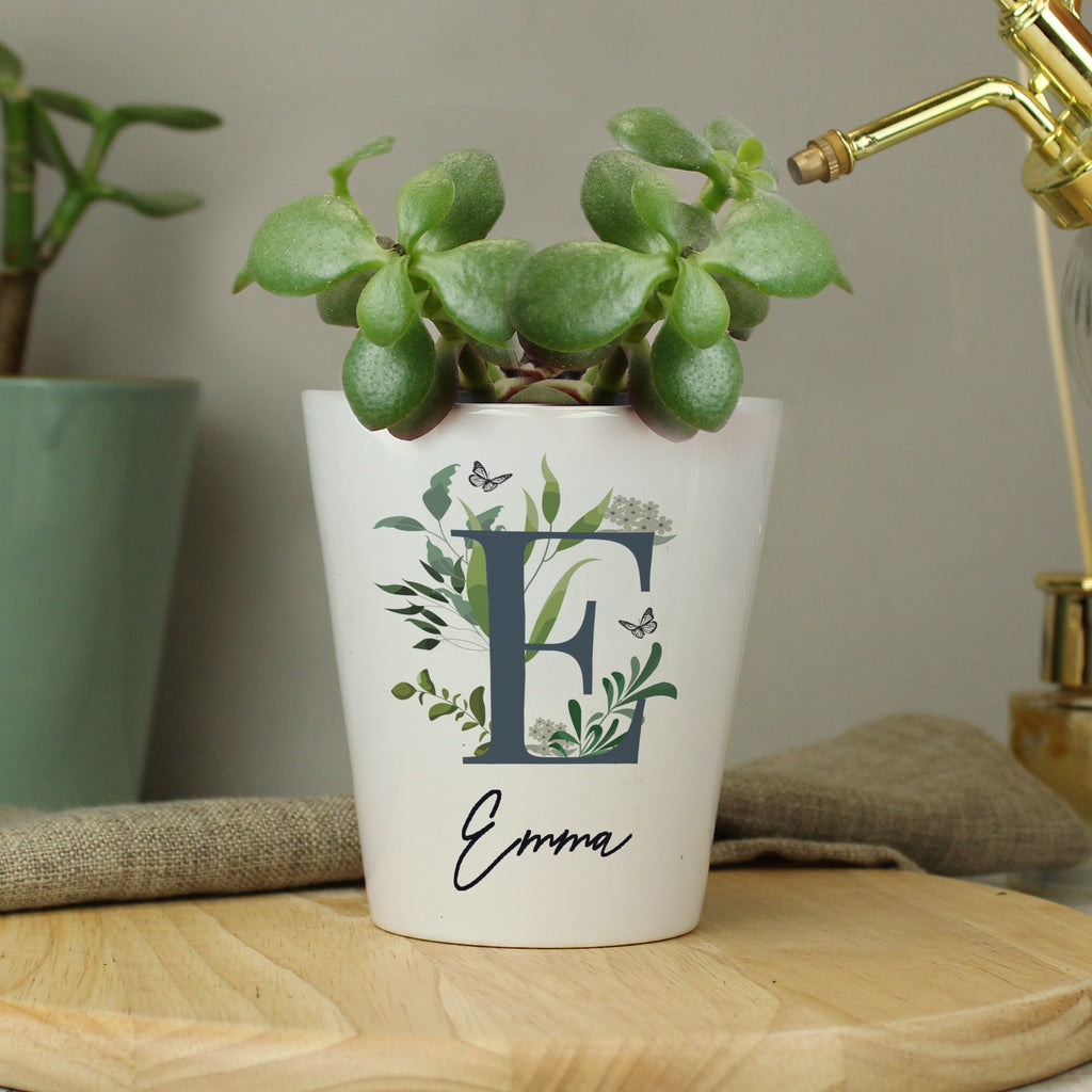 Vases