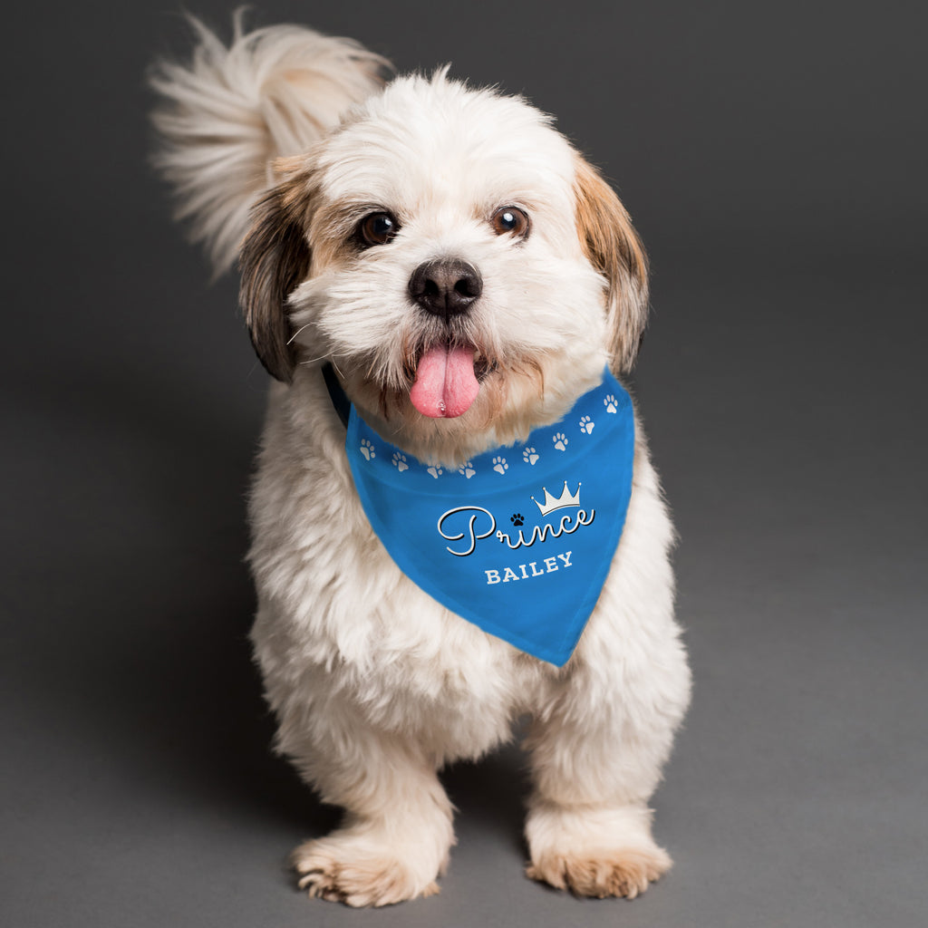 Pet Gifts