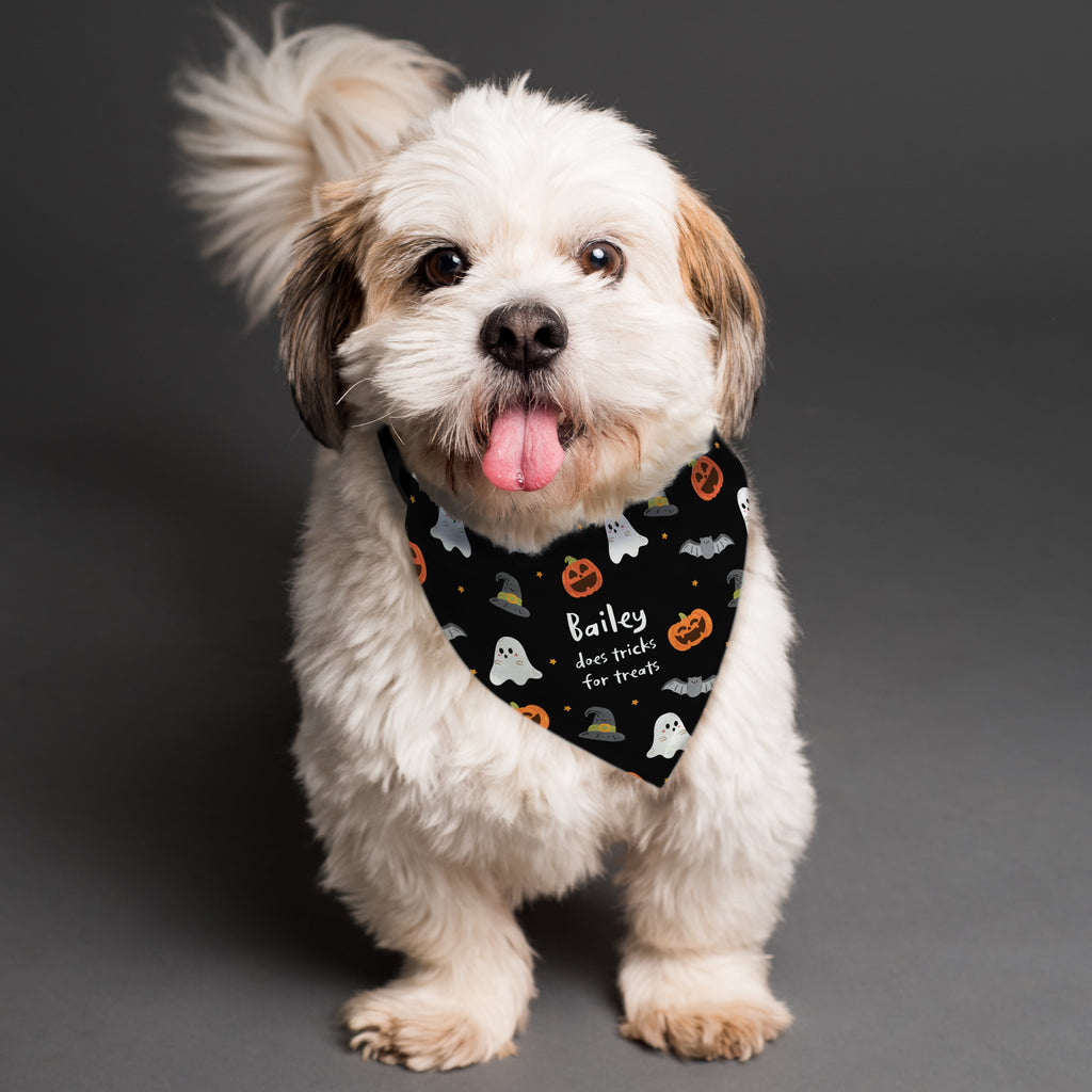 Pet Gifts