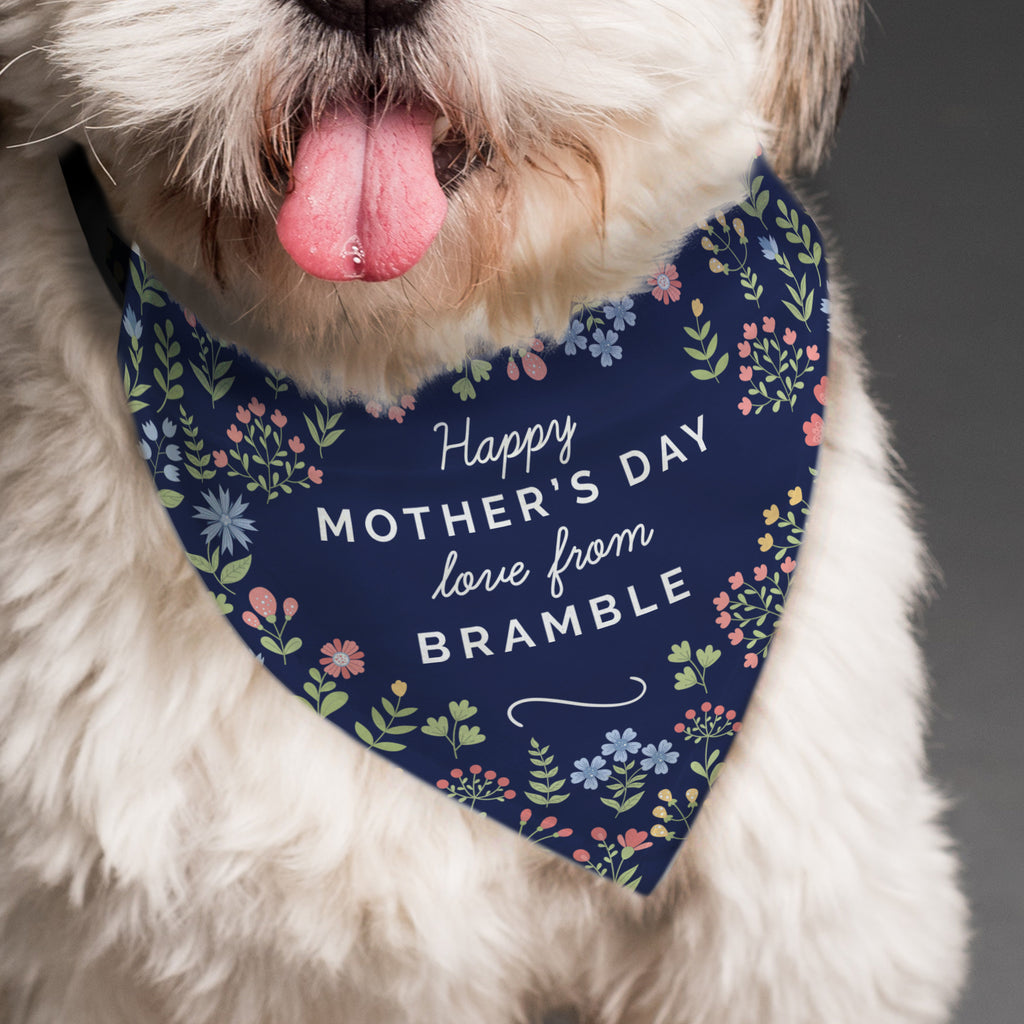 Pet Gifts