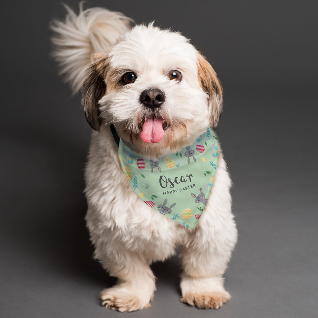 Pet Gifts